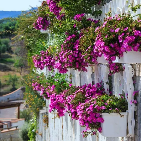 Charming Al Porto Hotel